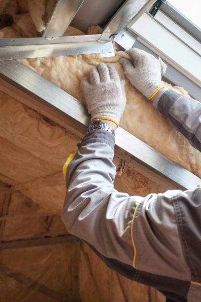 Best Insulation for Specific Applications in Silver Spring, MD